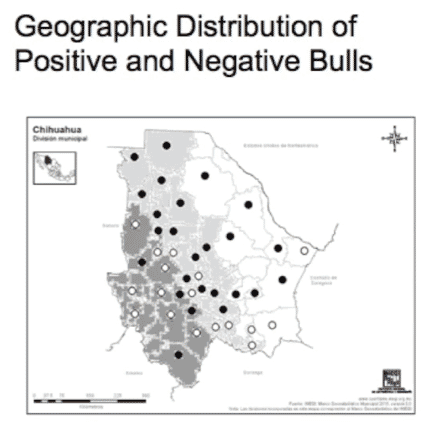 Geographic distribution of positive and negative bulls Geographic distribution of positive and negative bulls