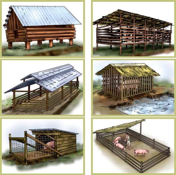 How To Farm Pigs Housing The Pig Site