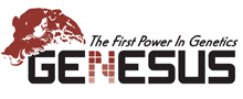 Genesus - The first power in genetics