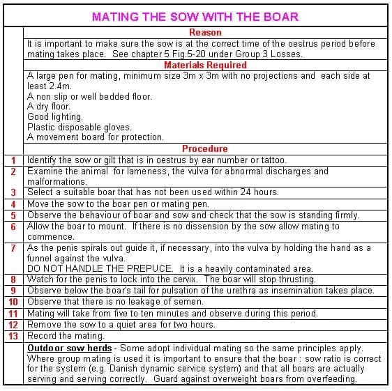 how to mate a sow and a boar